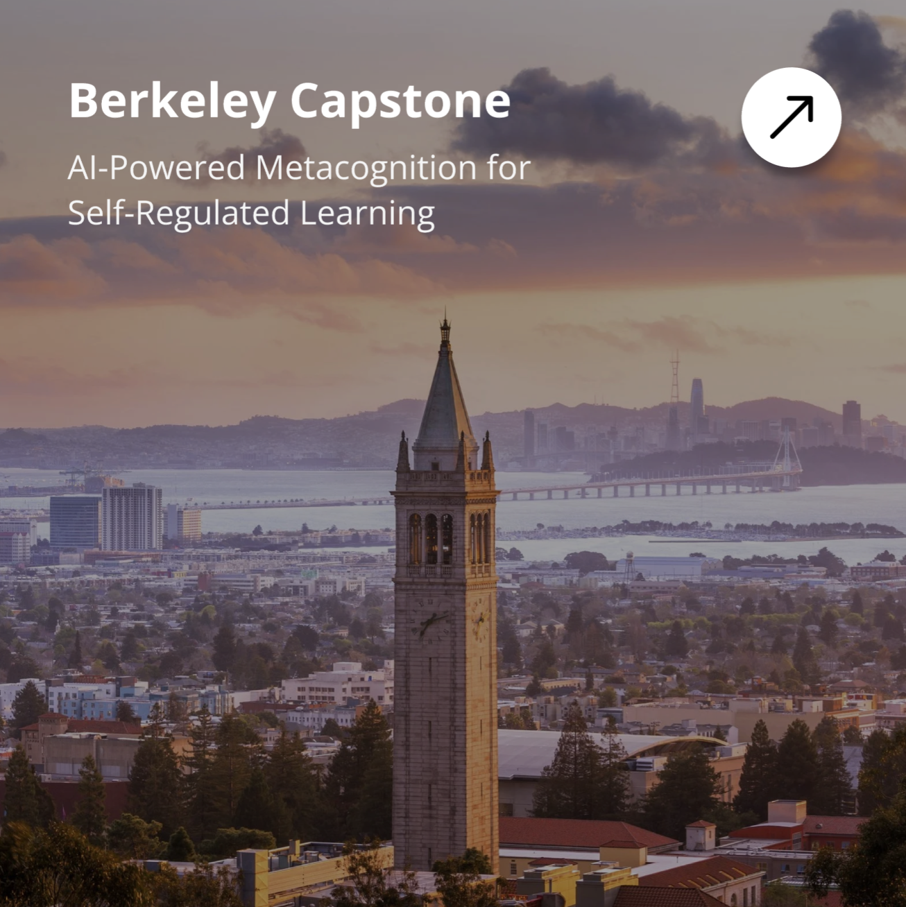 AI Pedagogy — Berkeley Capstone