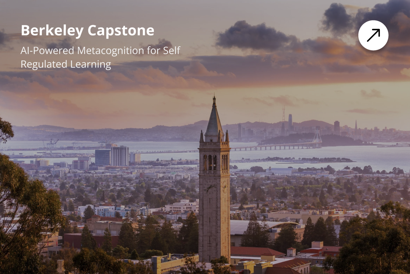 AI Pedagogy — Berkeley Capstone